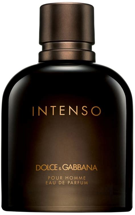 dolce and gabbana men's sale